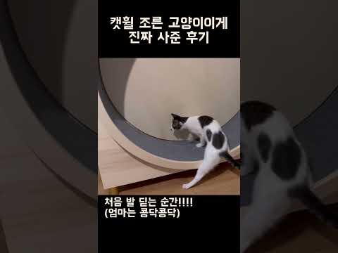 아이콘
