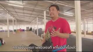 Download lagu mr.kosiem go farm mengenang sang jawara ayam kaoland jr. mp3