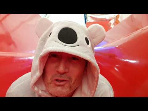 Ep009 How much polishing can a Koala Bear?