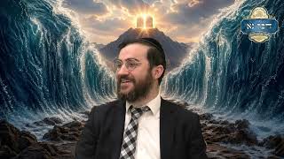אמור - האם יש קשר בין חג הפסח לשבועות? | מי דימה את ספירת העומר לאישה הסופרת לטהרתה?  | רבי דוד בכר