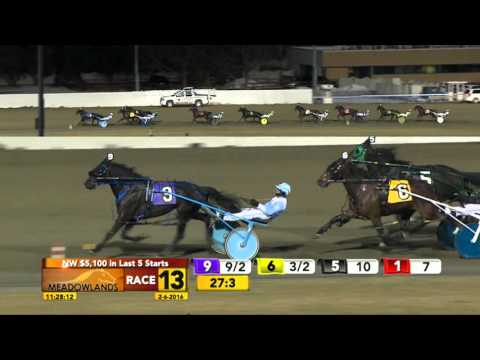 Meadowlands February 6, 2016 - Race 13 - Intheblinkofaneye