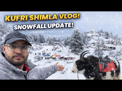 Kufri Shimla 2026 | Shimla To kufri 50 ₹ only | Kufri Complete Tour