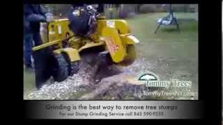 preview picture of video 'Chester NY 10918 Tommy Trees Stump Grinding Service Stump Removal Tree Service'