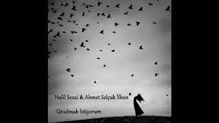 Halil Sezai &amp;  Ahmet Selçuk İlkan - Unutmak istiyorum