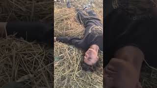 Download lagu ⚡️ Jarvis - minang deng laka kinang siuang |I#shorts #viral #nusratfatehalikhan #instagram #reels mp3 Download lagu ⚡️ Jarvis - minang deng laka kinang siuang |I#shorts #viral #nusratfatehalikhan #instagram #reels mp3