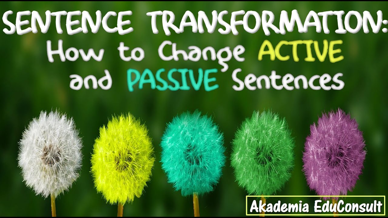 Sentence Transformation: How to Change Active and Passive Sentences with Examples