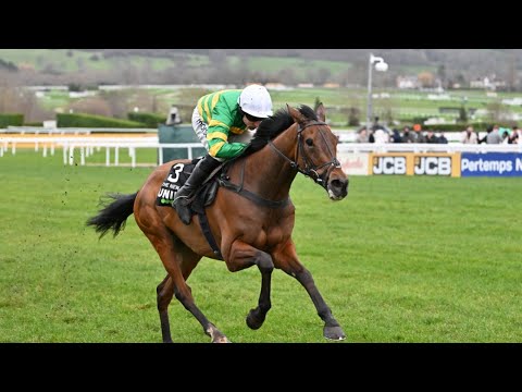 The New Lion wins International, but race marred by Sir Gino pelvic injury | Full Race | Racing TV