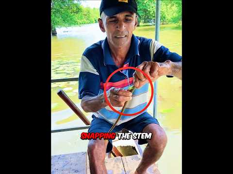 The final result is incredible 😍