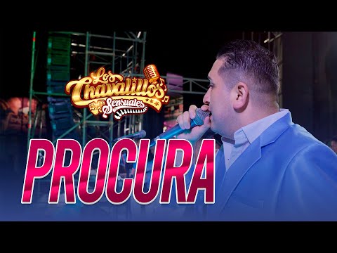 Procura - Los Chavalillos Sensuales / En Vivo
