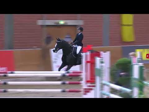 Vivian Martin & Botakara (Balou du Rouet x Espri) - Springfestival Timmel - jumping horses class M
