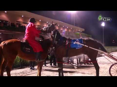 Melton 211016 Race 6   Matthew Craven on Sirladyn Reba winning the Empire Stallions Vidbred Platinum