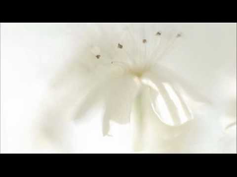 Video thumbnail for Concerto for violin, strings & basso continuo in D minor (RV 813/vclass. RV Anh. 10)