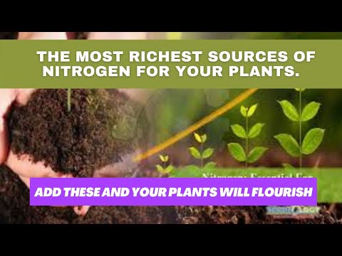 YouTube video about: Which soil component contributes the most nitrogen to plants?