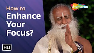 How to Enhance Your Focus Sadhguru | Sadhguru | Shemaroo Spiritual Life