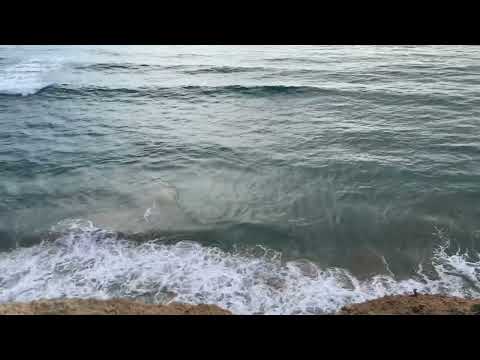 Conil de la Frontera ocean