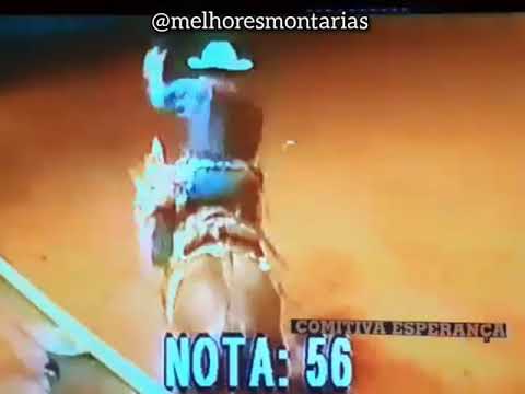 ANTONIO CALHEIROS DE MORAES X BICHO ESQUISITO - RODEIO DE PONGAI 1999