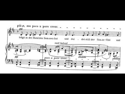 Die Nachtigall (Sieben frühe Lieder - A. Berg) Score Animation