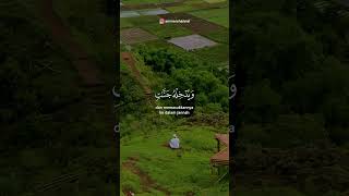 Download lagu SURAT AT TAGHABUN 9 | IBROHIM ELHAQ mp3