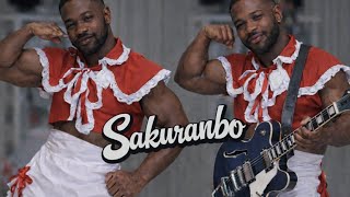 Download lagu Otsuka Ai - 사쿠란보 (Blues Remix) mp3 Download lagu Otsuka Ai - 사쿠란보 (Blues Remix) mp3