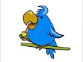Safari Scrapbook Parrot