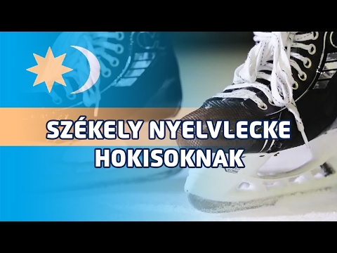 nem stimuláns fogyókúrás kiegészítők kölyökkutyák fogynak