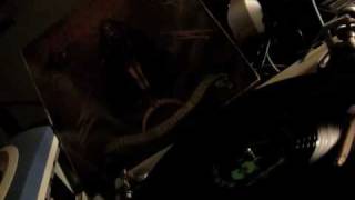 The Fuzztones - Cheyenne Rider + Greatest Lover In The World