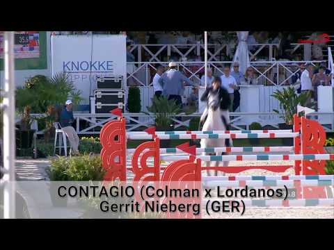 Die Verbandshengste 2020 - Contagio v. Colman-Lordanos