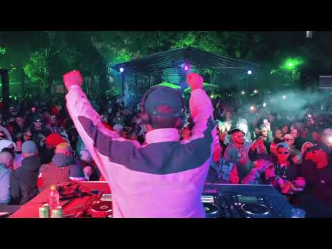 Trallez @SUBVISION highlights