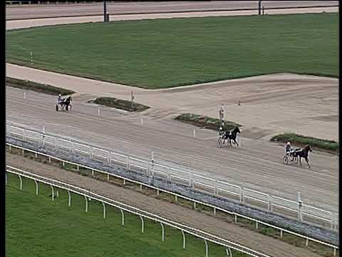 Trotto 28/10/2018 - 1ª prova di qualifica