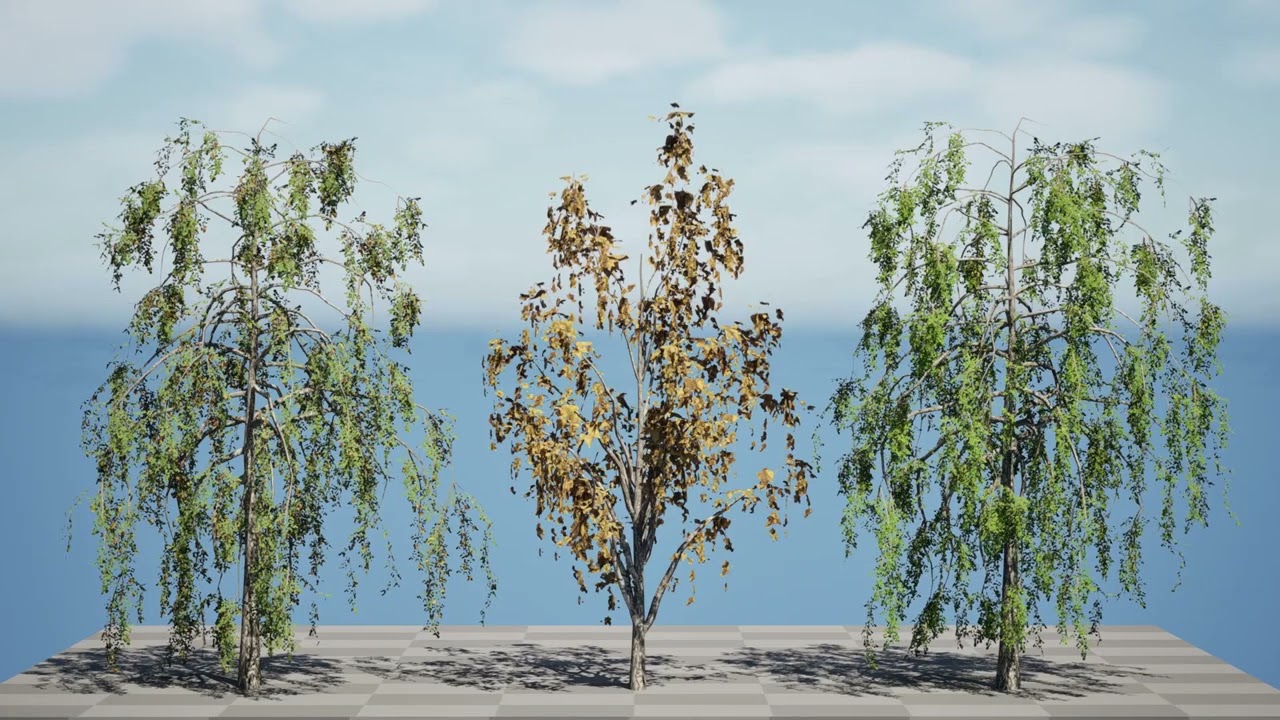 Британська плакуча береза 3D Модель