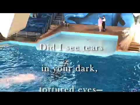 Dream of the Leviathan