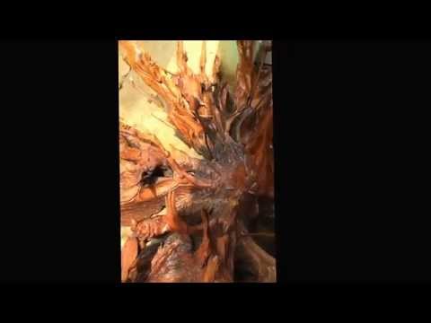 Gốc cây đẻo hình phật - gỗ sưa