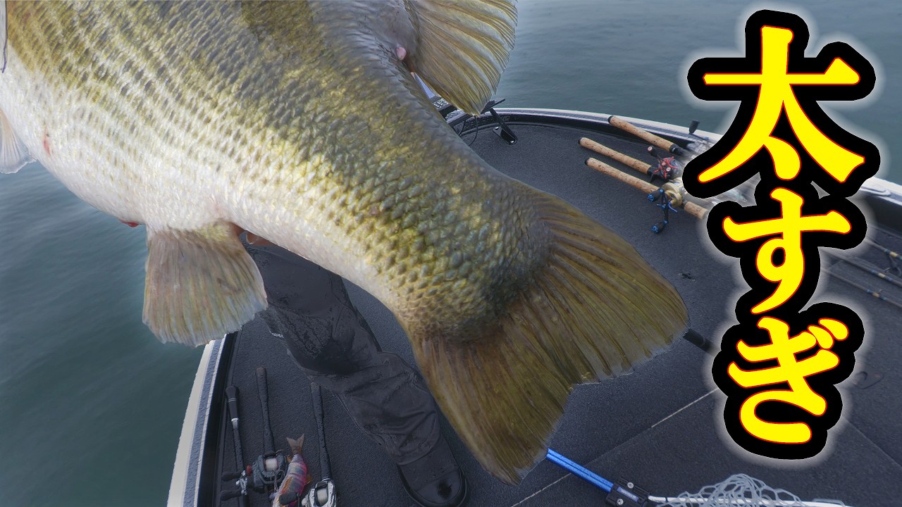 ３月＝釣れる、にしてもコレは事件。【琵琶湖】