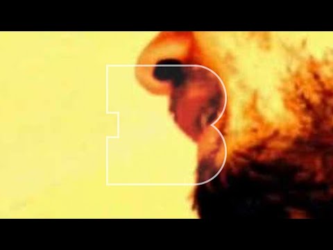 Seb Martel - Rollercoaster | A Take Away Show