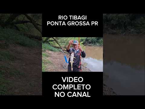 Dia de pescaria 🎣Quem conhece esse rio sabe... sempre vem surpresa#pescaria #pescaraiz #shorts #paz