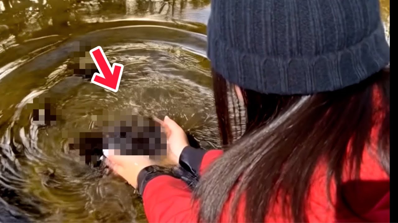 ずっと昔にいなくなった○○が近所の山奥で大繁殖してた