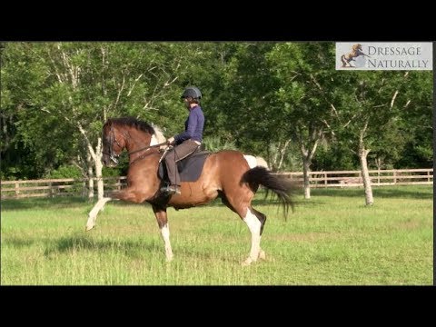 Ovation's  spanish walk