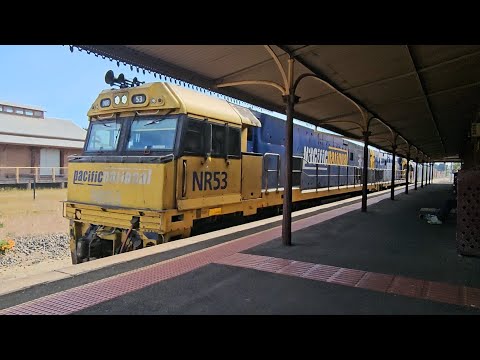 6PM6 PN "Linfox Express #1" (NR53, NR63, G530), Perth to Melbourne, 1543, 21/10/24, Stawell VIC