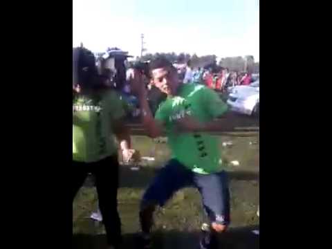 Stronder ducato predador