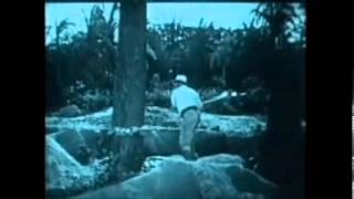 Loop - I'll Take You There