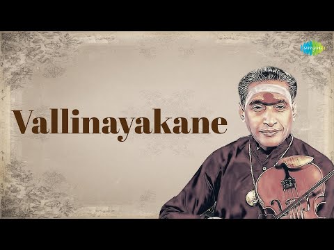 Vallinayakane | Kunnakudi Vaidyanathan | Muthiah Bhagavatar | Carnatic Classical Instrumental Music