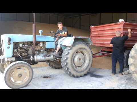 Rakovica 65 u problemu