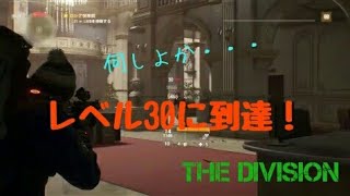 ［Division ］ついにレベル30に到達！で、何しよか・・