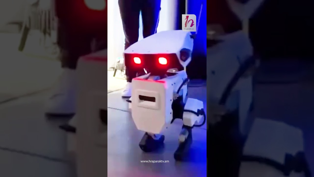 Disney ընկերությունը ներկայացրել է նոր նեյրոբոտ, որն ունի ներկառուցված արհեստական ​​ինտելեկտ