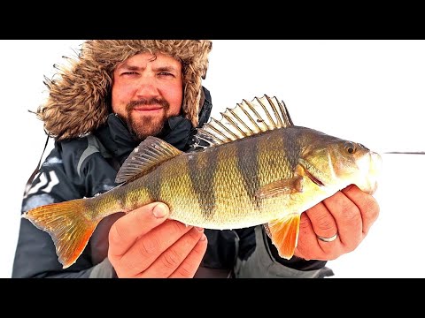 TALVEN PARAS PILKKIREISSU - AHVENTA HAILUODOSTA