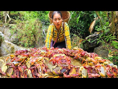 Harvest forest crabs in the rainy season - giant stone crab - How to Cook Delicious Crab