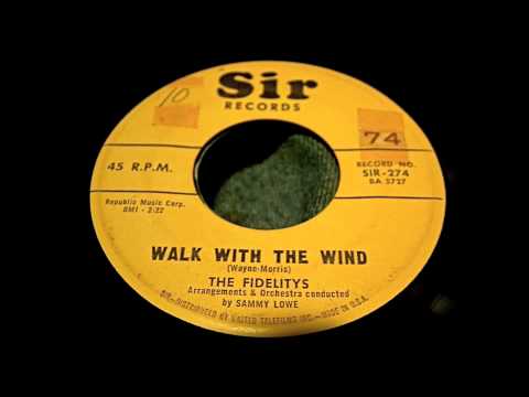 The Fidelitys - Walk With The Wind 45 rpm!