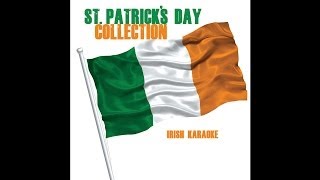 The Irish Karaoke Singers - Old Bog Road [Audio Stream]