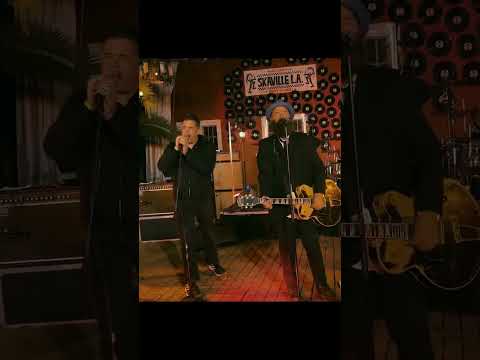 Operation Ivy - Sound system (Jesse & Tim Reunion show)