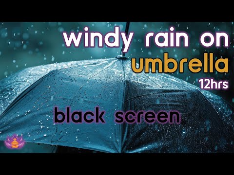 [Black Screen] Windy Rain on Umbrella No Thunder | Rain Ambience | Rain Sounds for Sleeping